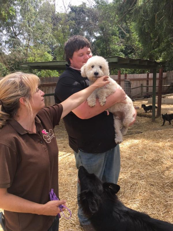 Must Love Dogs Job Opportunities At Pets In Paradise Pet Boarding in